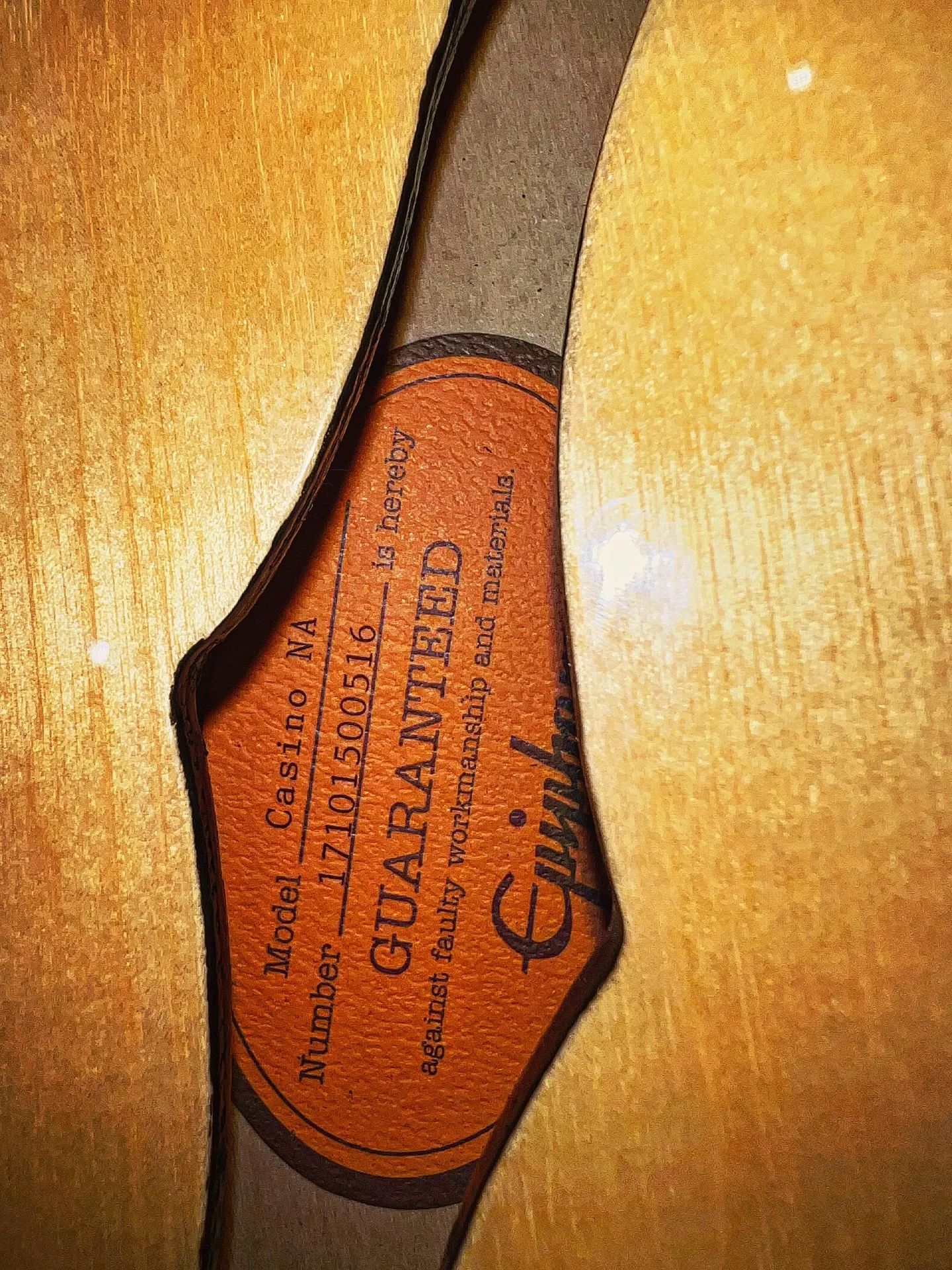 Epiphone Casino natural 入荷✨