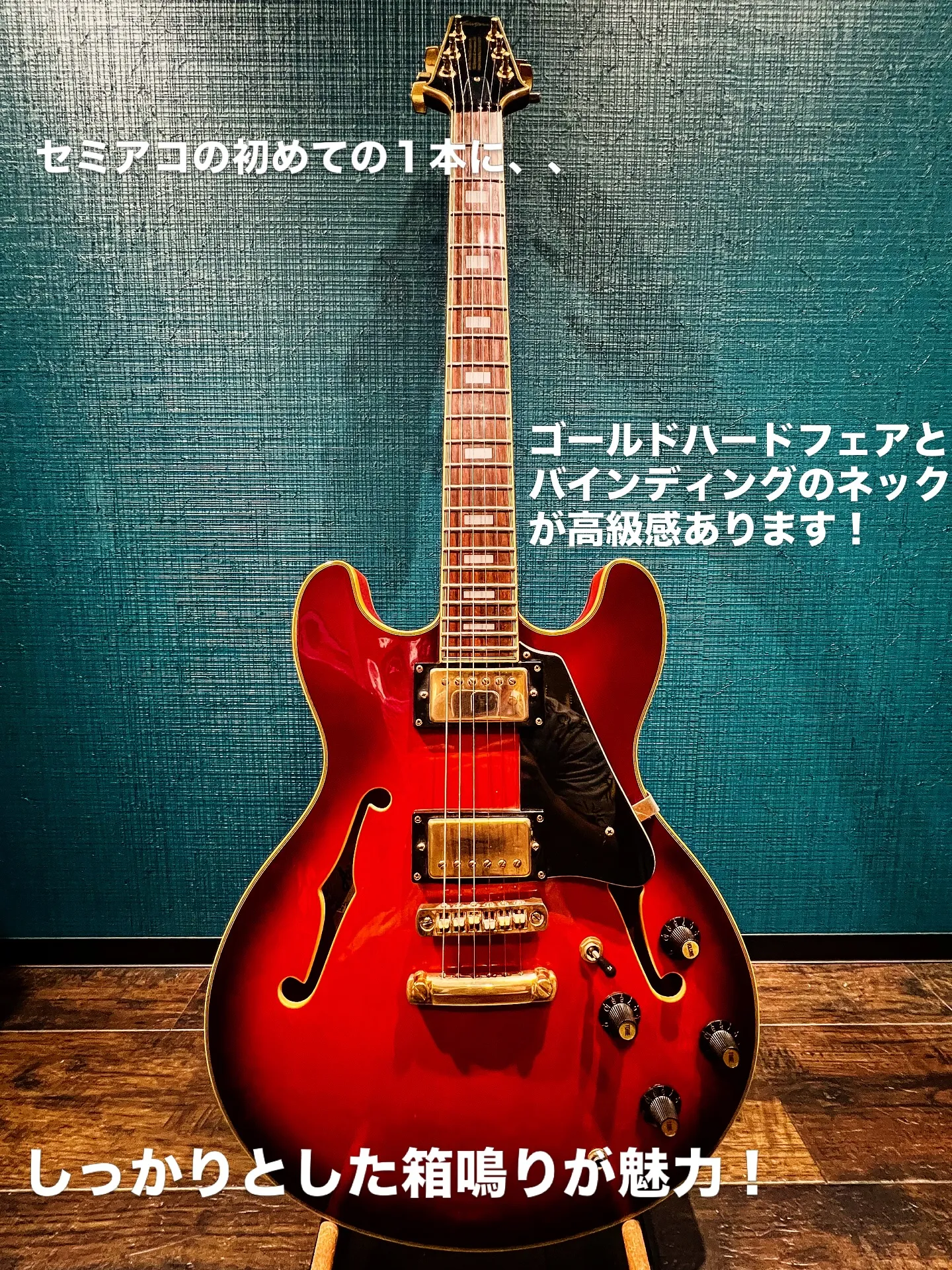 Aria pro Ⅱ TA series 入荷✨