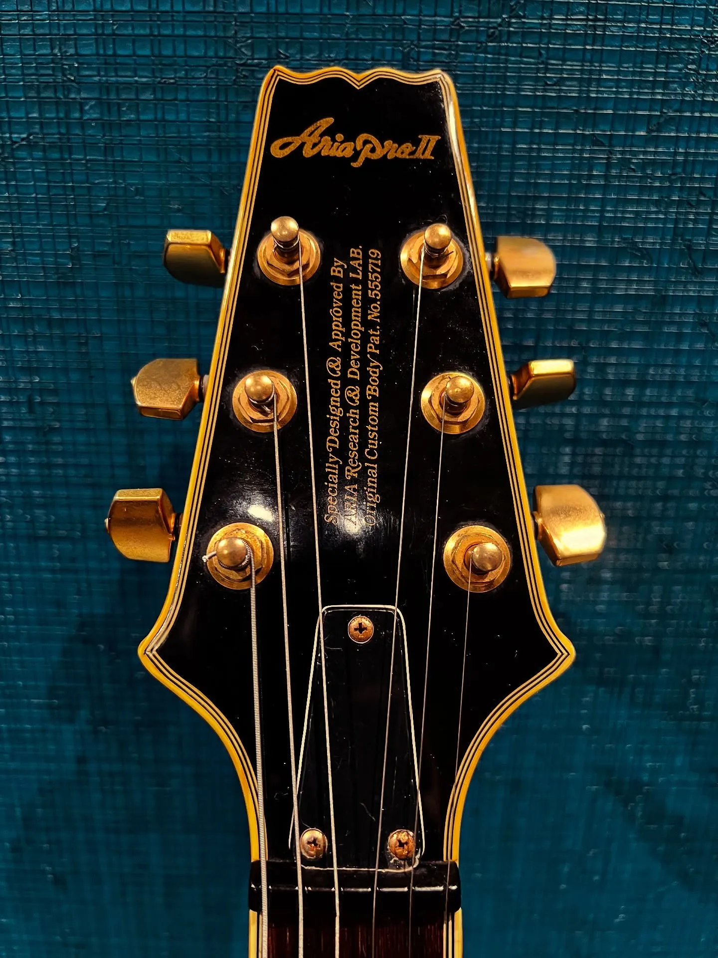 Aria pro Ⅱ TA series 入荷✨
